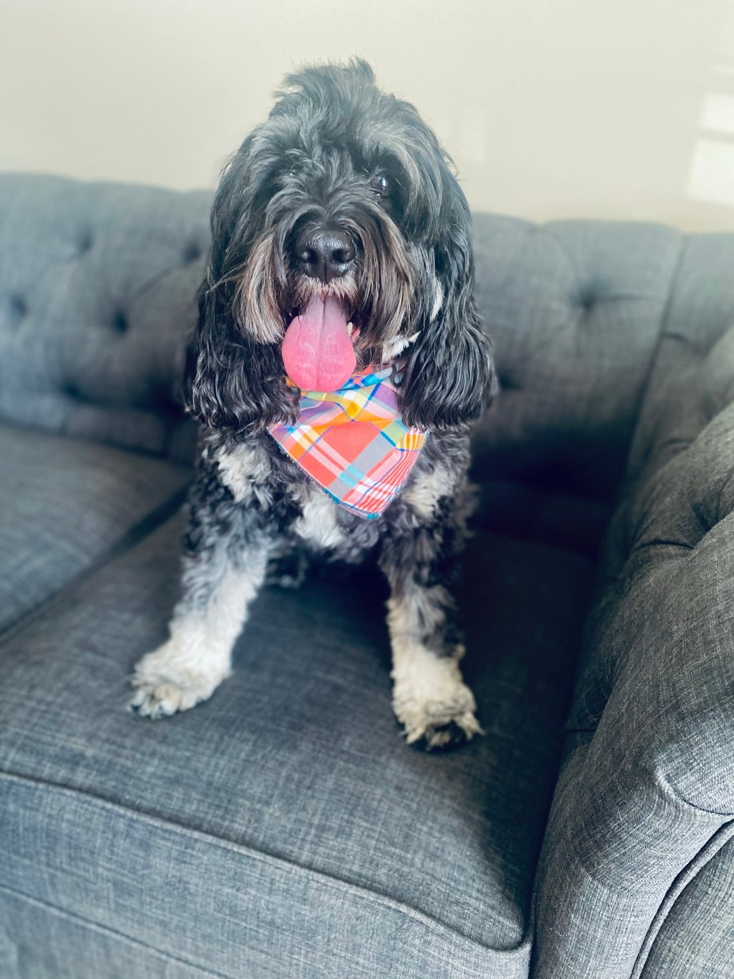 Peach, blue and purple Dog Bandana