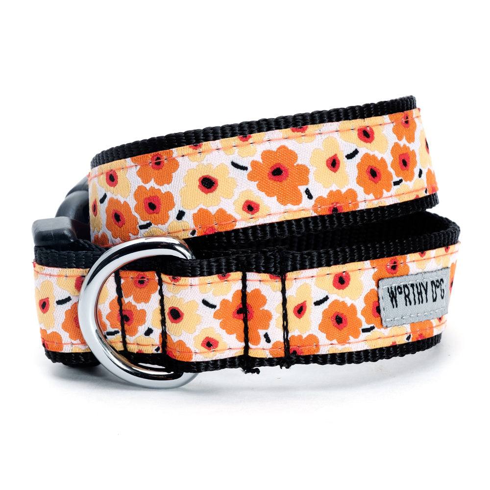 Dog collar and leash set - Orange Floral