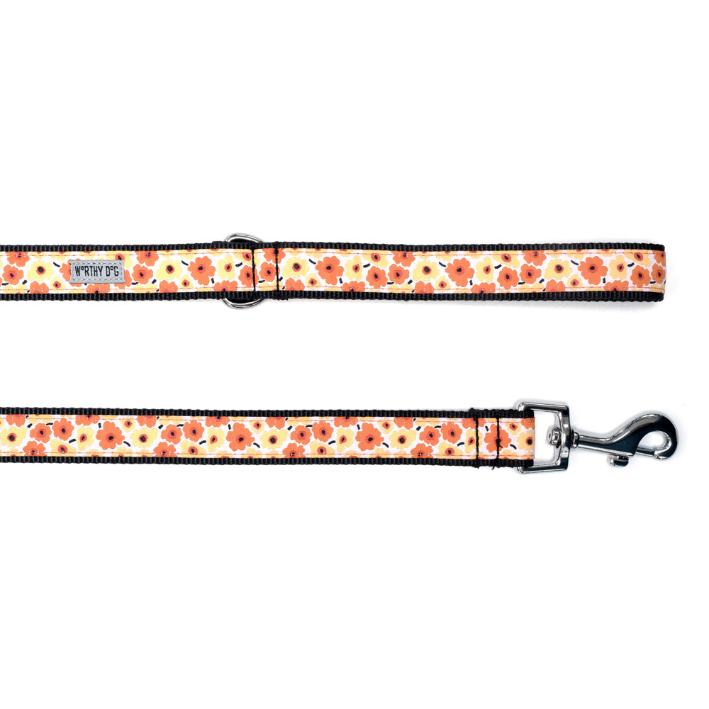 Dog collar and leash set - Orange Floral