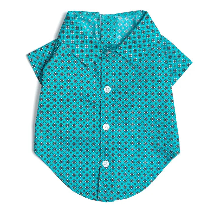 Foulard Turquoise Dog Shirt